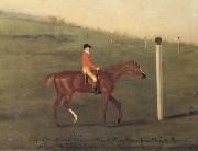 Francis Sartorius 'Eclipse' with Jockey up walking the Course for the King's Plate 1776 china oil painting reproduction